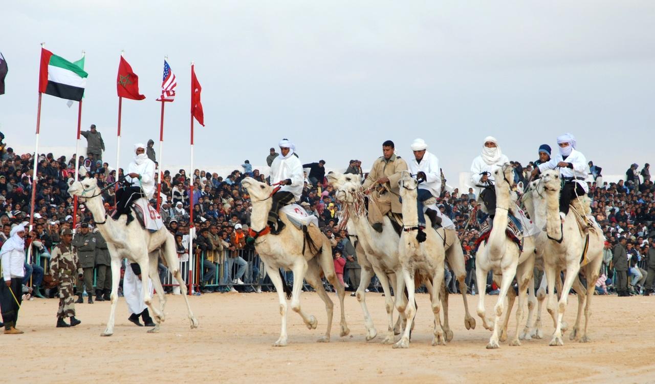 Arabic is characterized by a wide number of varieties